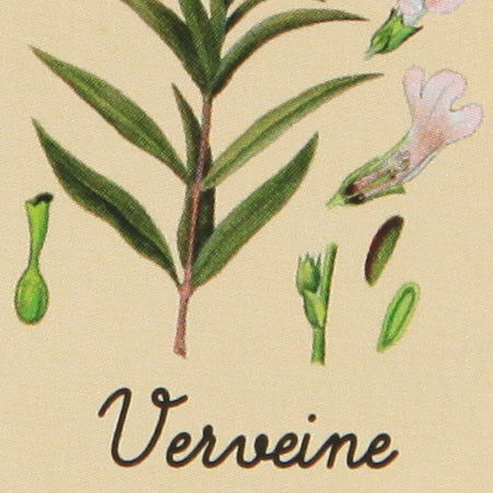 Marius Fabre olīveļļas ziepes «Verbena» ar Karite/Shea sviestu 100g